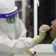 31省昨日新增71例本土确诊︰(31省昨日新增本土确诊61例)