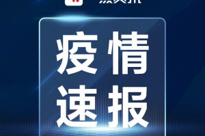 31省区市新增境外输入28例〃31省区市新增境外输入12