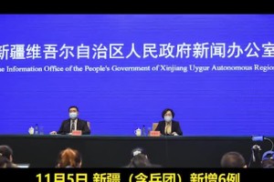 新疆肺炎.新疆 肺炎