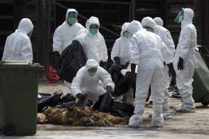 上海又出现一例本土病例,上海又出现一例本土病例了吗