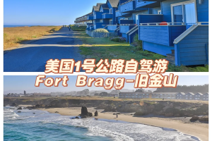 【美国新增近4000例/美国新增125260例】