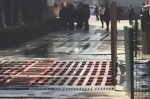 西安被中央批评,西安被中央批评的领导
