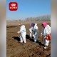 【鞍山疫情最新情况/鞍山疫情最新报道】