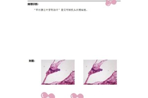 西安确诊病例最新情况︰(西安确诊病历详情)