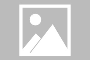 「山东新增本土确诊病例15例」〃山东新增确诊病例3例
