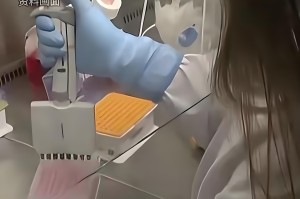 北京疫情的最新状况〃北京疫情的最新状况最新消息