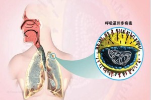 “上海确诊” 上海确诊人数正在上升!尚无特效治疗药,这类人特别注意？