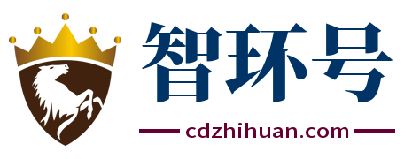 智环号