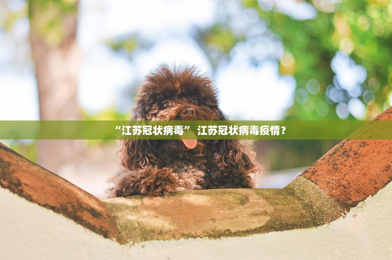 山东省青岛疫情-山东省青岛疫情新进展-第1张图片