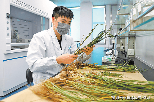 「郑州六医院多人感染时间存疑」〃郑州六院 院内感染-第2张图片