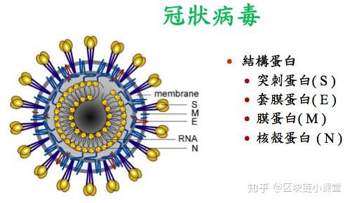 “美国新型冠状病毒最新消息	” 美国新型冠状最新情况？-第3张图片