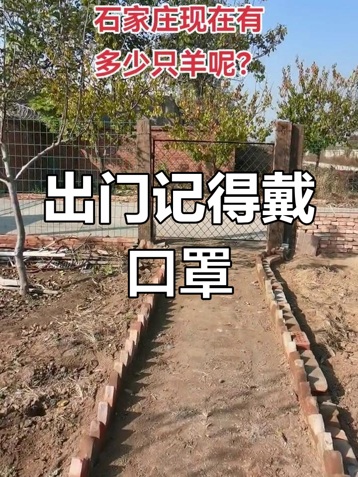 【石家庄疫情/石家庄疫情是真是假】-第1张图片