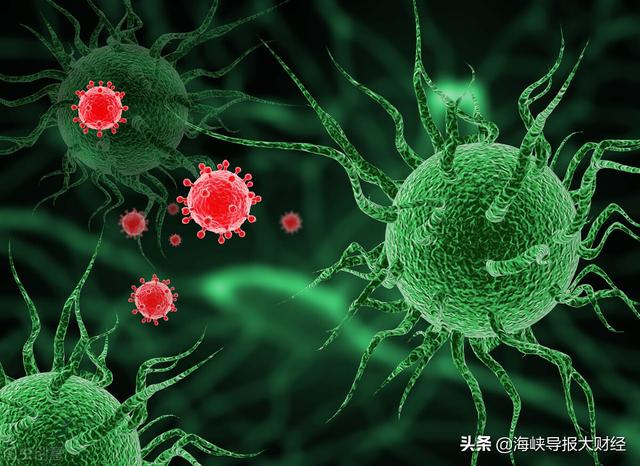 山东首例变异毒株确诊︰(山东发现变异毒株感染者)-第3张图片