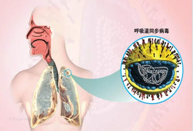 “上海确诊	” 上海确诊人数正在上升!尚无特效治疗药,这类人特别注意？-第1张图片