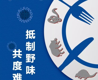 最新天津疫情〃天津最新疫情详细情况-第1张图片