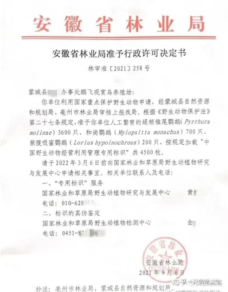 “石家庄解封时间” 2021年石家庄解封时间？-第1张图片