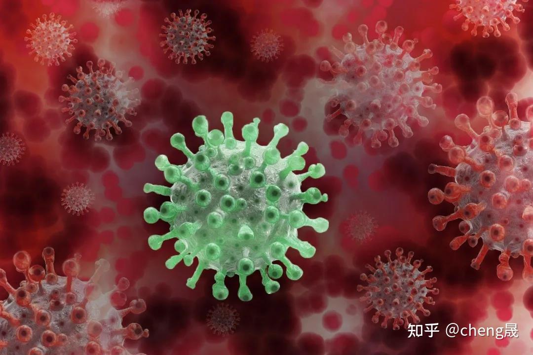 西安疫情源头终于找到了︰(西安疫情从哪里来的)-第1张图片