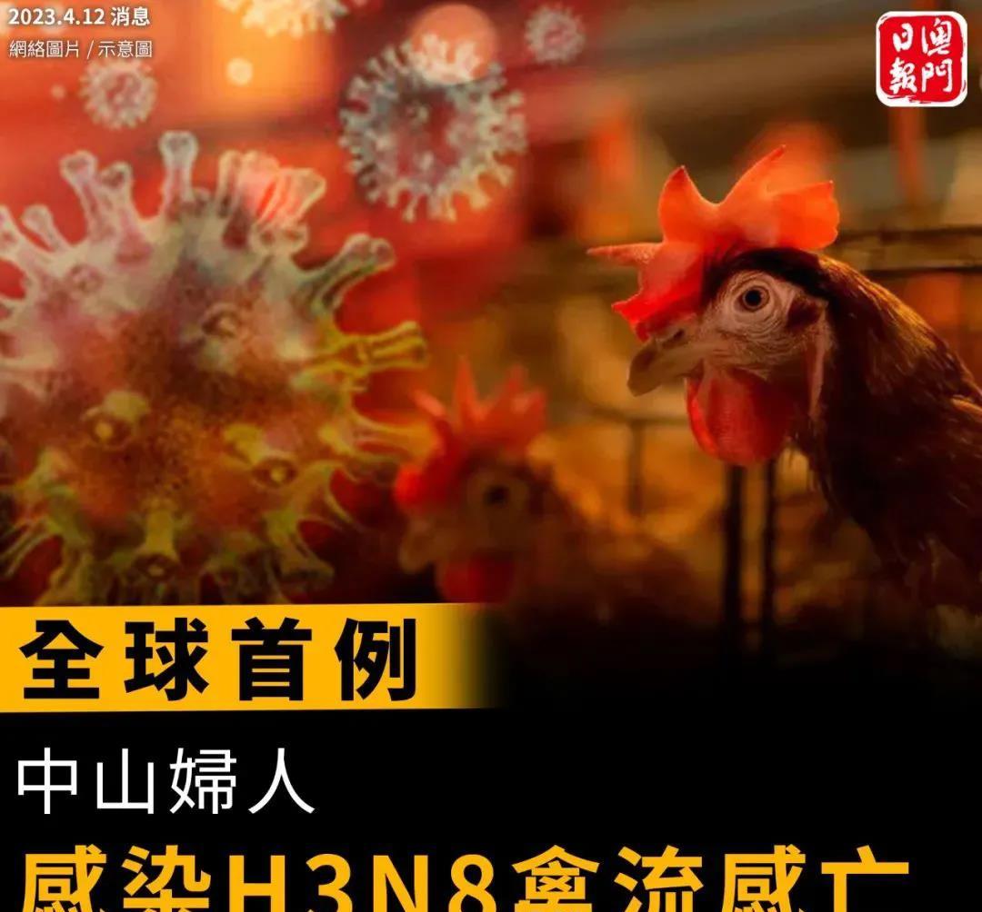东莞疫情︰(东莞疫情最新消息)-第3张图片