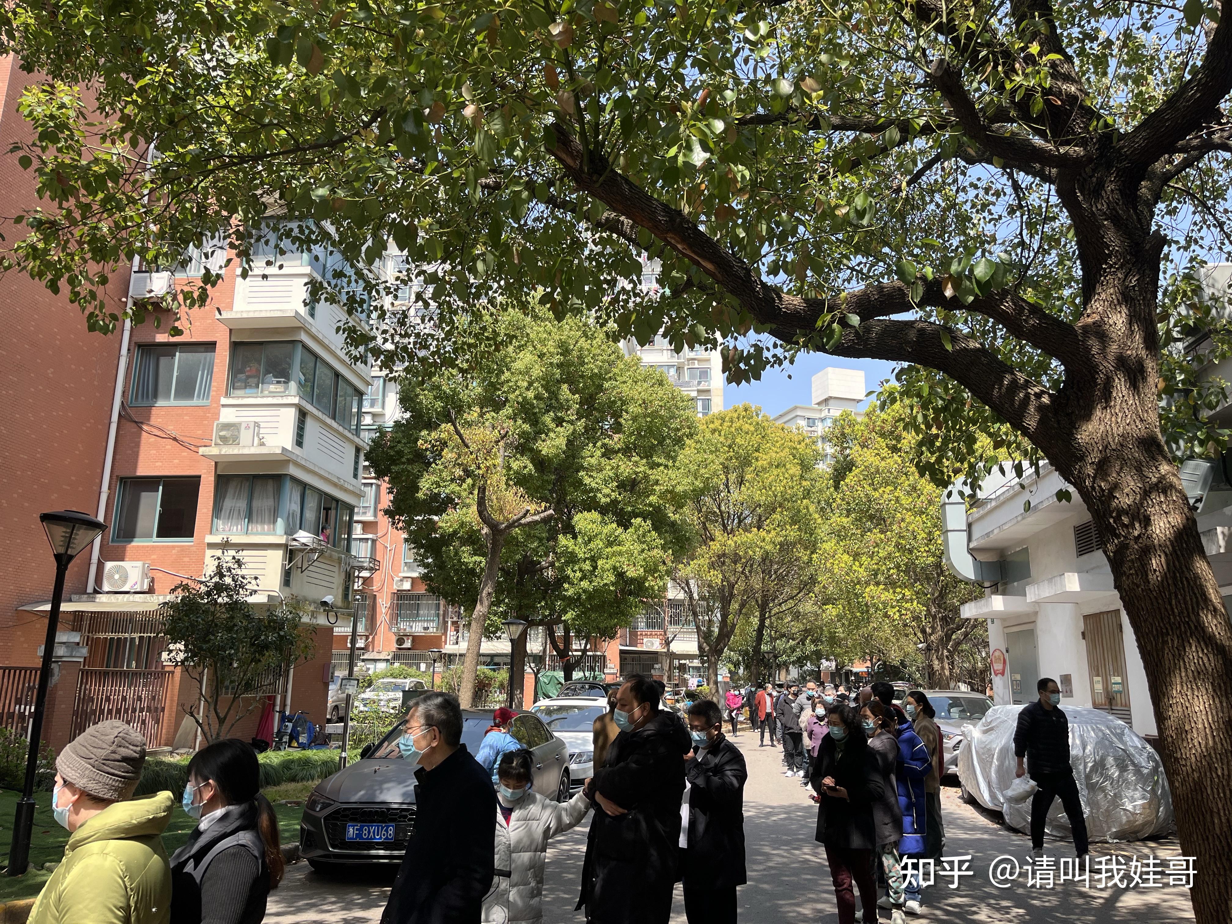 上海无症状57倍于确诊数︰(上海一无症状感染者转为确诊病例)-第2张图片